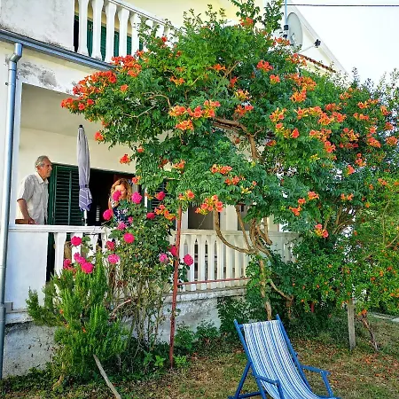 Labud Apartment