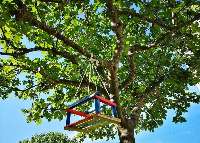 Labud Сукошан